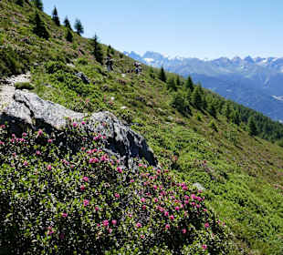 Wandern Fliess