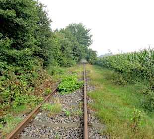 Unterwegs auf der alten Bahntrasse
