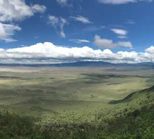 Ngorongoro