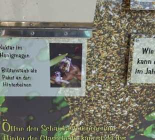 Naturerlebnispfad Meidelstetten