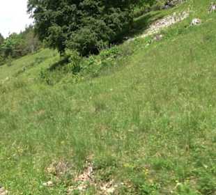 Premiumwanderweg "hochgehackert"