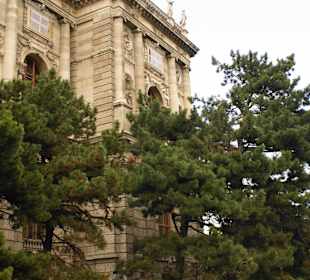 Seitliche Ansicht in Richtung Hofburg