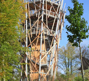 Der Aufstiegsturm des Baumwipfelpfades