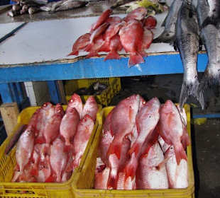 Fischmarkt