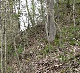 Eiszeitpfad - Burgfelsenpfad