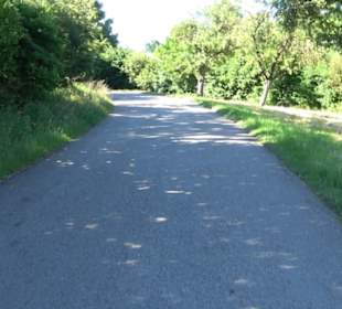 Waldameisen-LehrPfad