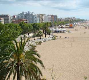 Palmy na plaży Calella