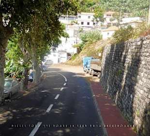 #1356 Yellow Bus hellblau Madeira-Camara de Lobos.