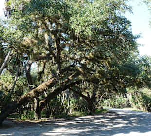 Myakka River State Park