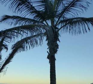 Spaziergang an der Strandpromenade Las Canteras