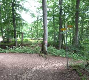Hochgeträumt Premiumwanderung
