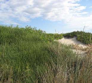 Naturschutzgebiet = Dünen