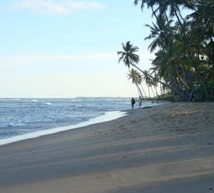 Strand bei Praia do Forte