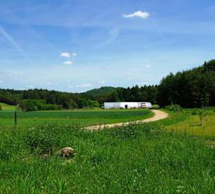Wanderung zum Bärenfels