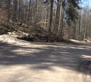 Premiumwanderweg "hochgeblickt"