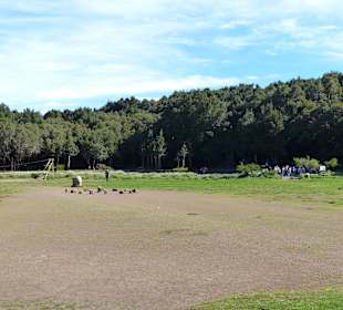 Parque Nacional de Garajonay