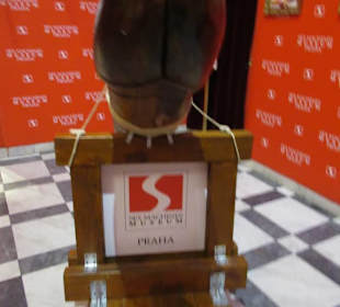 Im Sex Maschinenmuseum von Prag