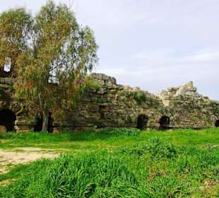 Die ersten Zeitzeugen