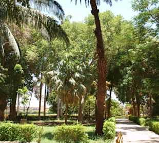 Botanischer Garten in Assuan