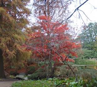 Parkanlage Planten un Blomen