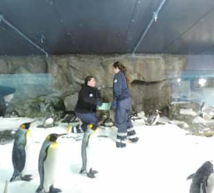 Besonders die Kinder hatten viel Spaß
