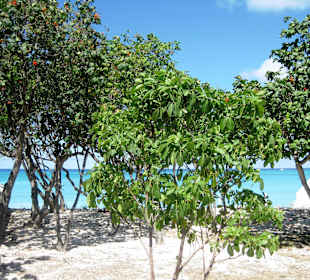 Eindrücke während der Fahrt