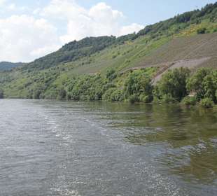 Mosel in der Nähe des Klosters