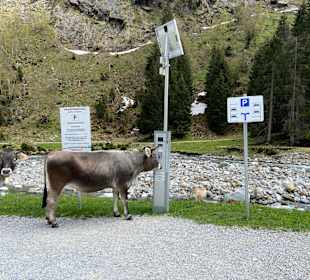 Wanderweg WildeWasserWeg Neustift/Stubaital