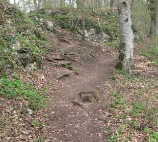 Wanderung rund um das Rusenschloss Gerhausen