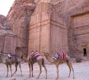 Tombs with camels