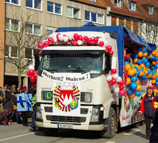 Nürnberger Faschingsumzug 2013