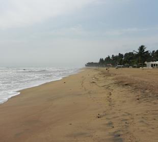 Rundreise mit Tikka Juni 2012