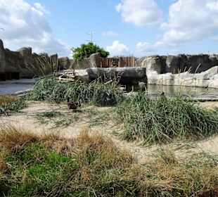 Rundgang durch den Zoo am Meer