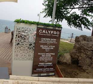 Calypso Programm