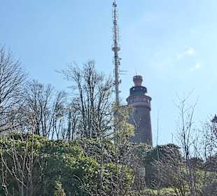 Wandern in Baden-Baden und Umgebung