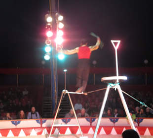 Landauer Weihnachtcircus 2016
