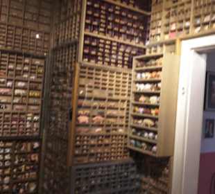 Schweinemuseum