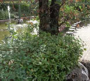 Erlebnispark Tripsdrill