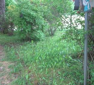 Gebetsgarten Heiligenbronn