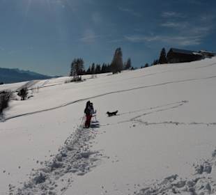 Schneeschuhwanderung