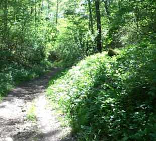 Premiumwanderweg Hochgehschätzt