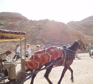 Petra - Kutschfahrt zum Schatzhaus