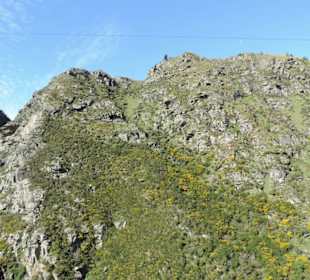 Mitder Taileri Railway durch die Natur Neuseelands