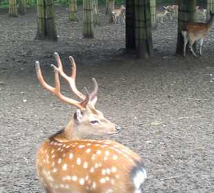 Zoo Olomouc