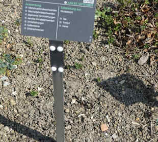 Hinweistafel zum eingepflanzten Kraut
