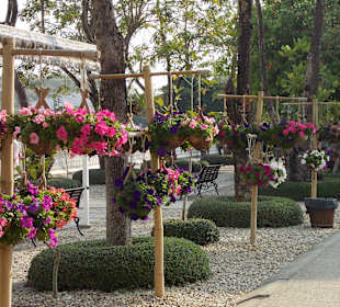 Wat Rong Khun – Weisser Tempel