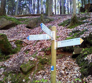 Naturdenkmal Elendsklamm in Landstuhl