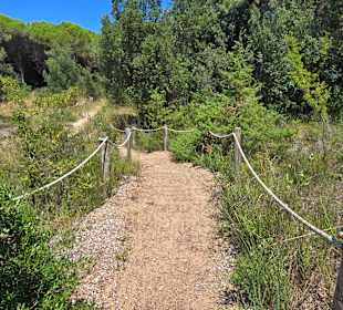 Angelegte Routen