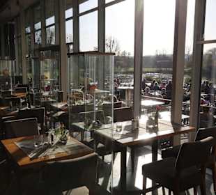 Große Fenster zum See