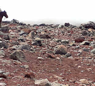 Wandern am Chimborazo